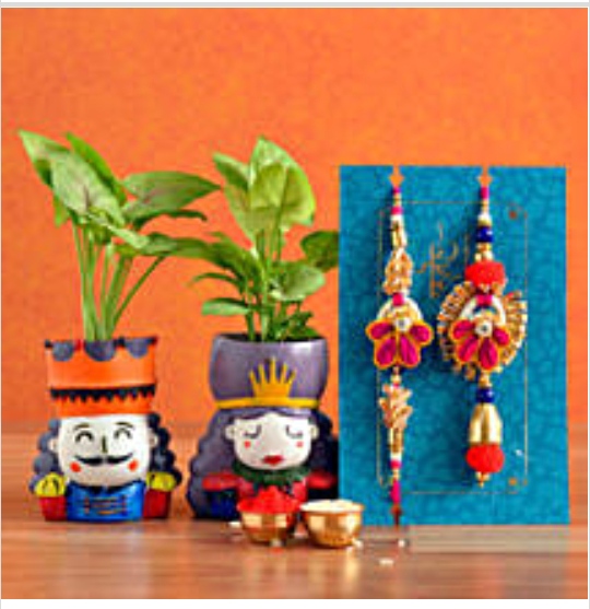 Rakhi N Plants